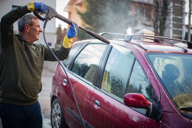 Best Roof Pressure Washing  in Ludowici, GA